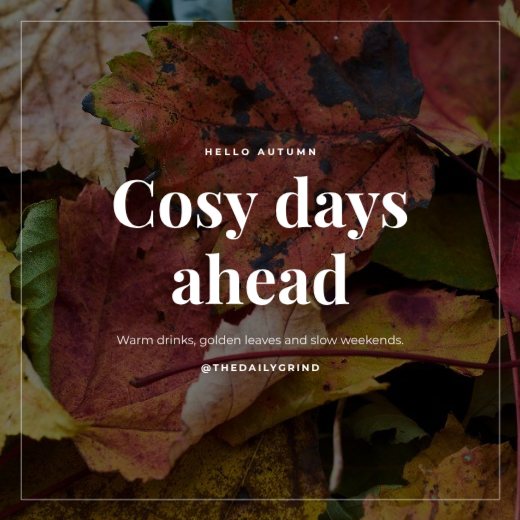 Autumn Hello Post — free Instagram post template