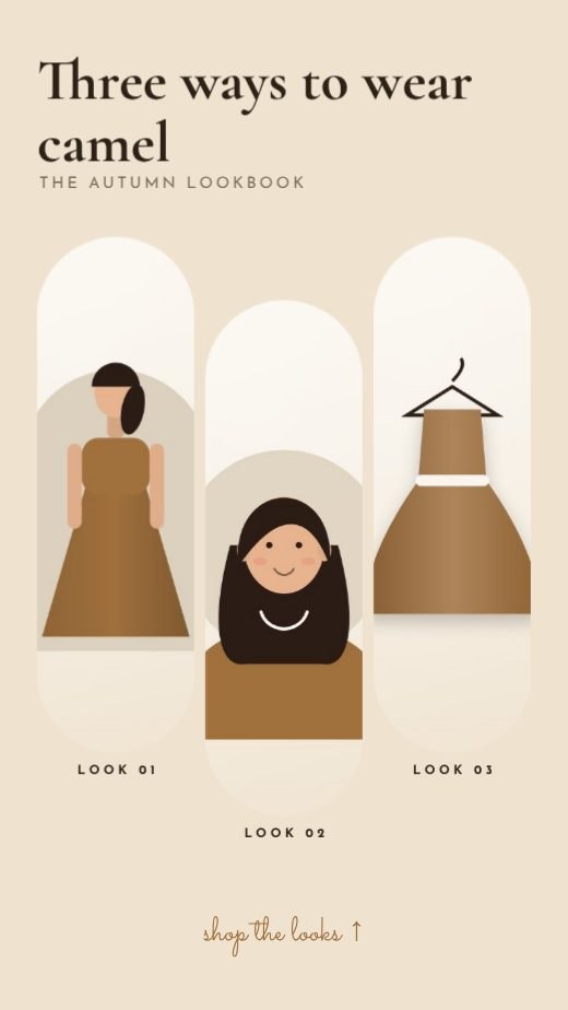 Autumn Lookbook Story template
