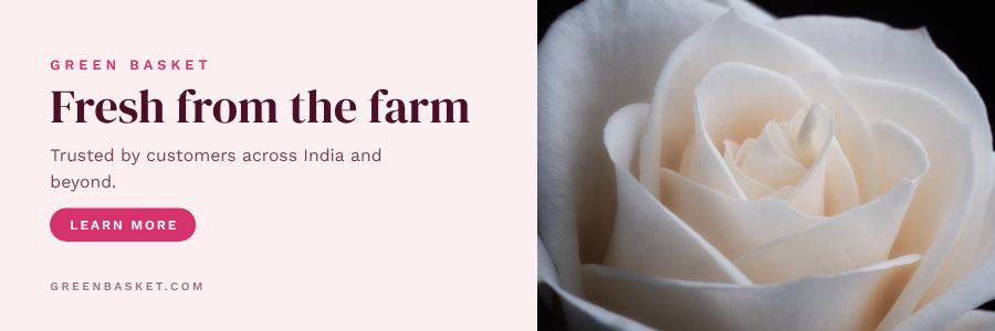 Berry Green Basket Website Banner — editable marketing template