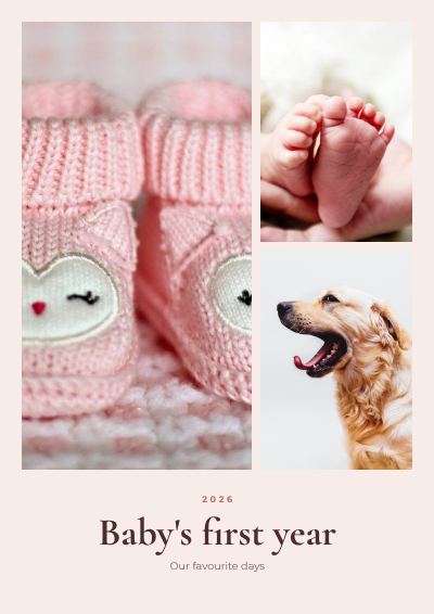 Blush Baby's first year 3 Photo Collage template
