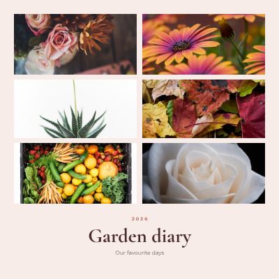 Blush Garden diary 6 Photo Collage template