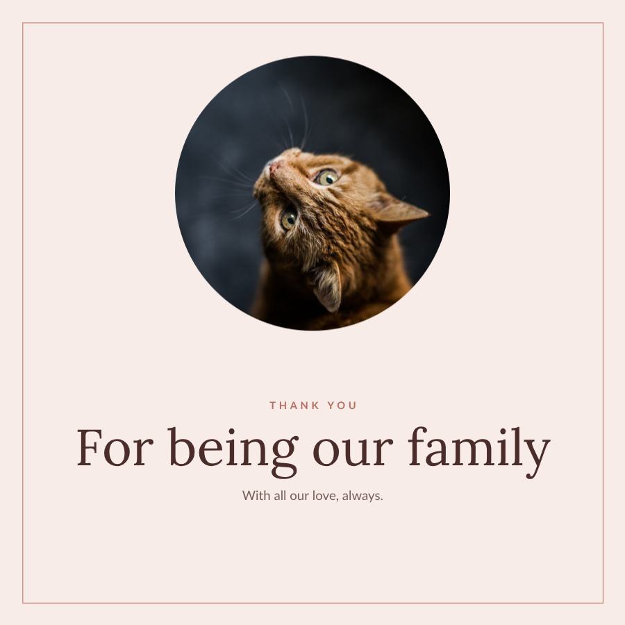 Blush Thank you For being our family Wishes — editable love & family template