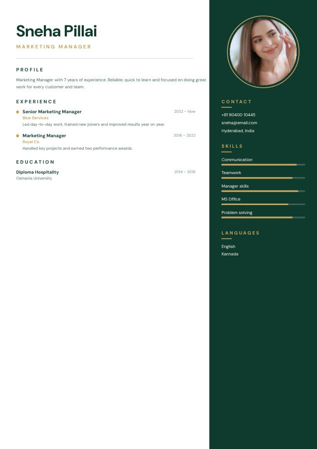 Emerald Sneha Pillai Marketing Manager Resume — editable resume template
