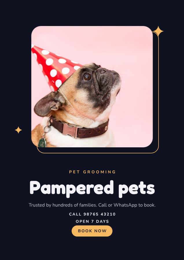 Midnight Pampered pets Pet grooming Flyer Info — editable business template