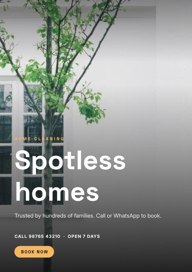 Midnight Spotless homes Home cleaning Flyer Promo — editable business template