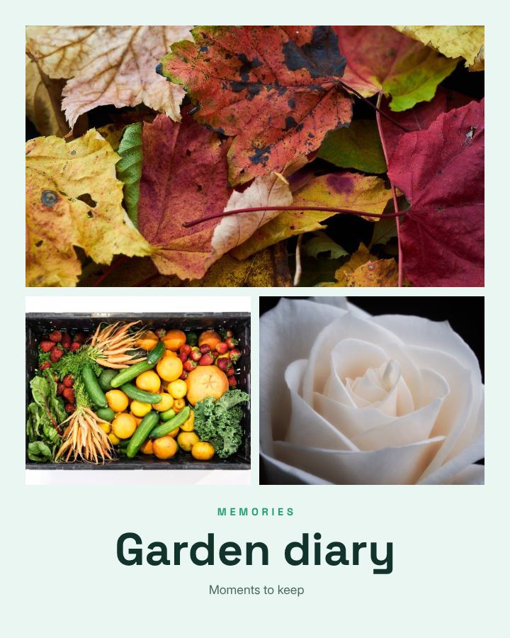 Mint Garden diary 3 Photo Collage — editable photo collage template
