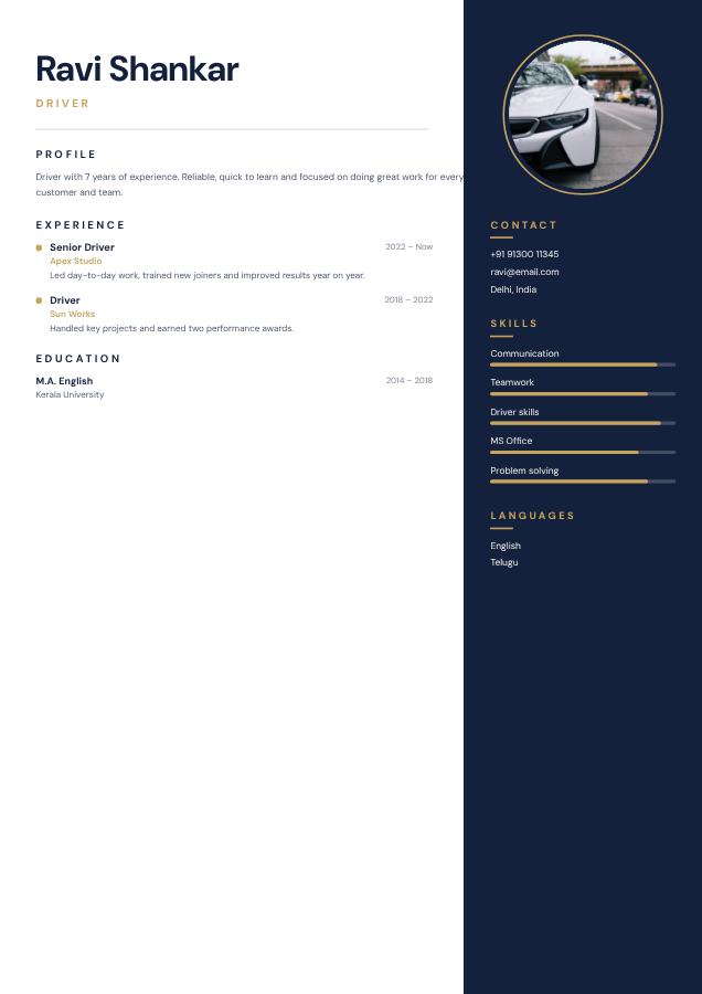 Navy Ravi Shankar Driver Resume — editable resume template