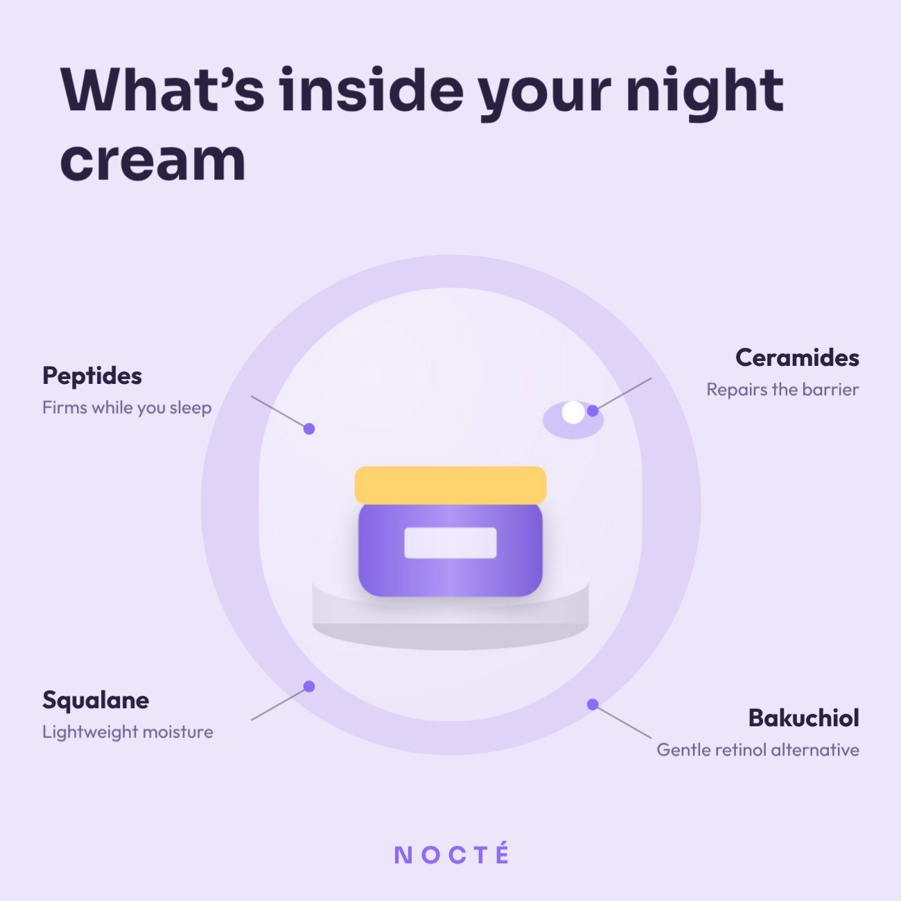 Night Cream Ingredient Callouts — editable marketing template