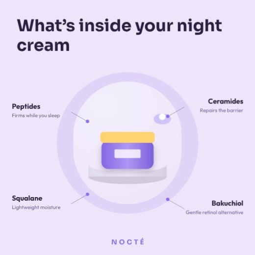 Night Cream Ingredient Callouts template