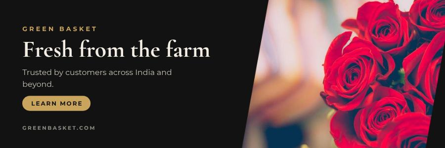 Noir Green Basket Website Banner — editable marketing template