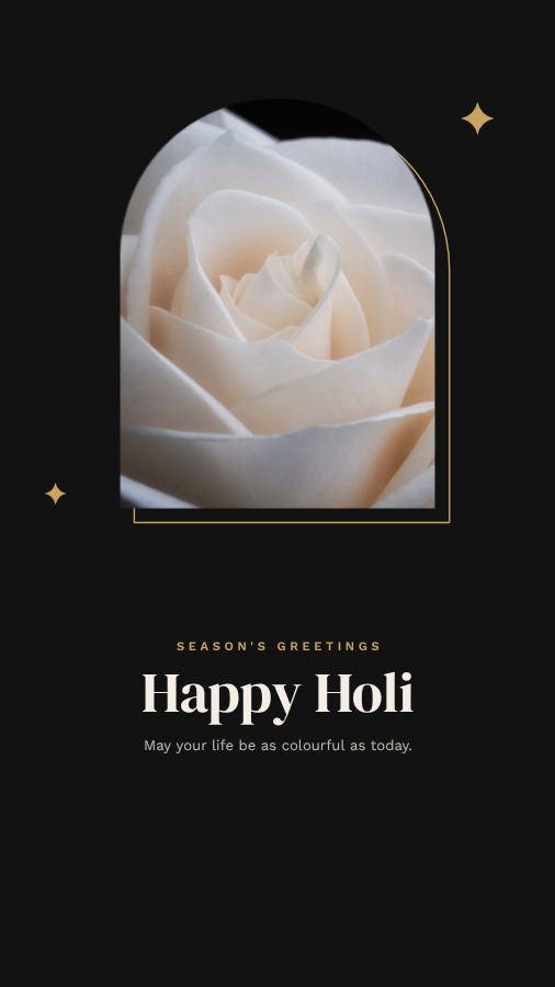 Noir Holi Wishes Story — editable festivals template
