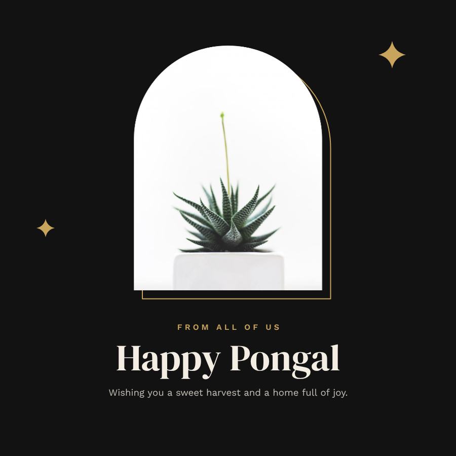 Noir Pongal Business Wishes Post — editable festivals template