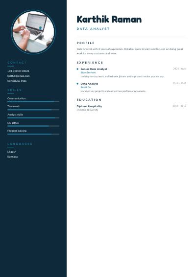 Ocean Karthik Raman Data Analyst Resume — free resume site template
