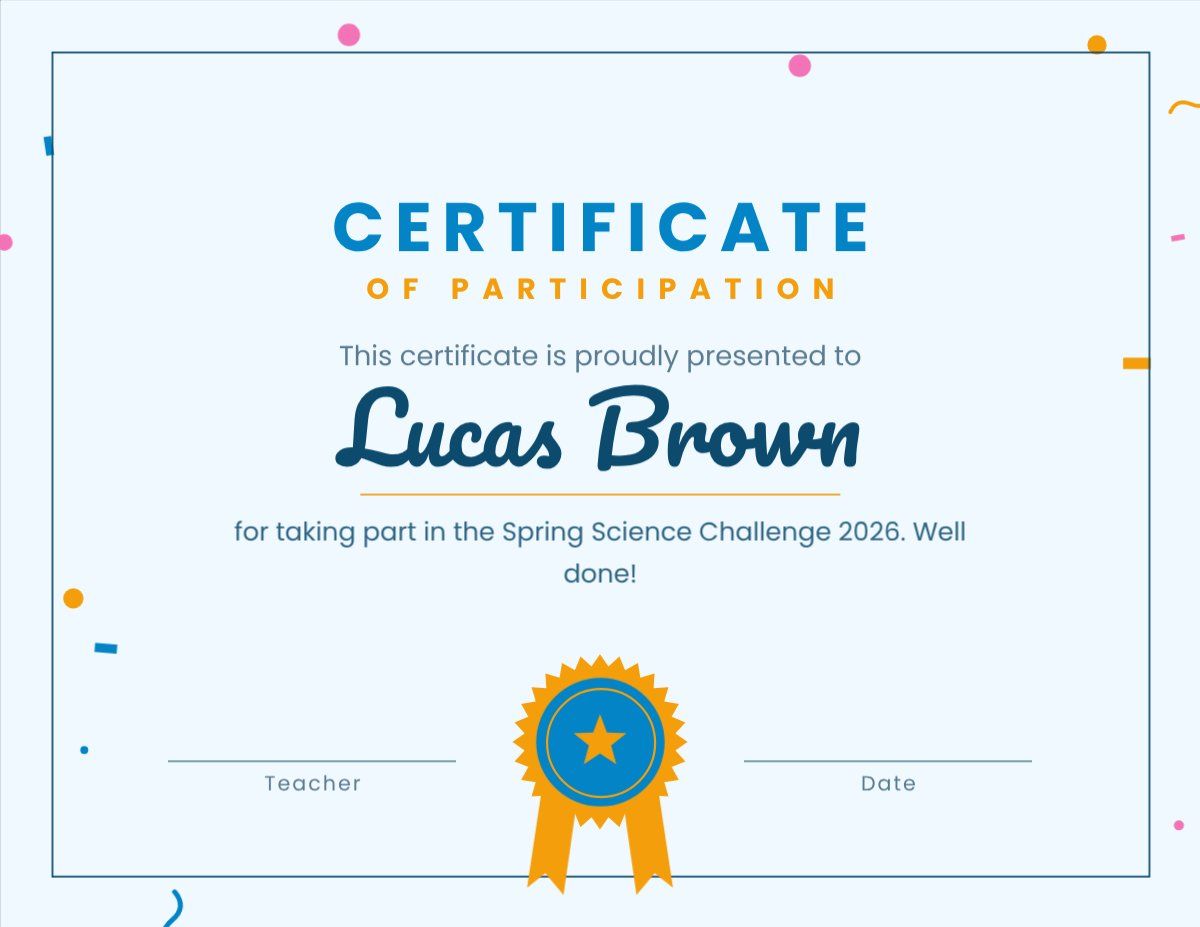Participation Certificate — editable certificates template