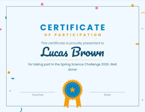 Participation Certificate template