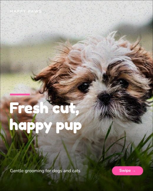 Pet Grooming Instagram Carousel template