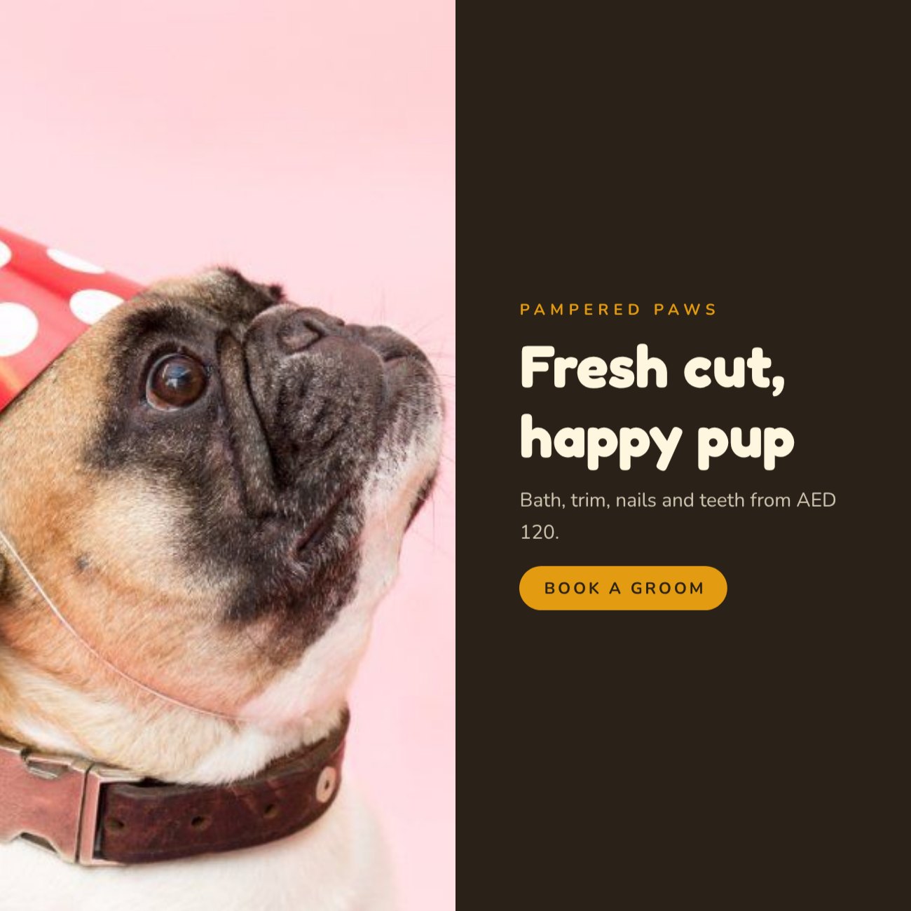Pet Grooming Post — editable marketing template