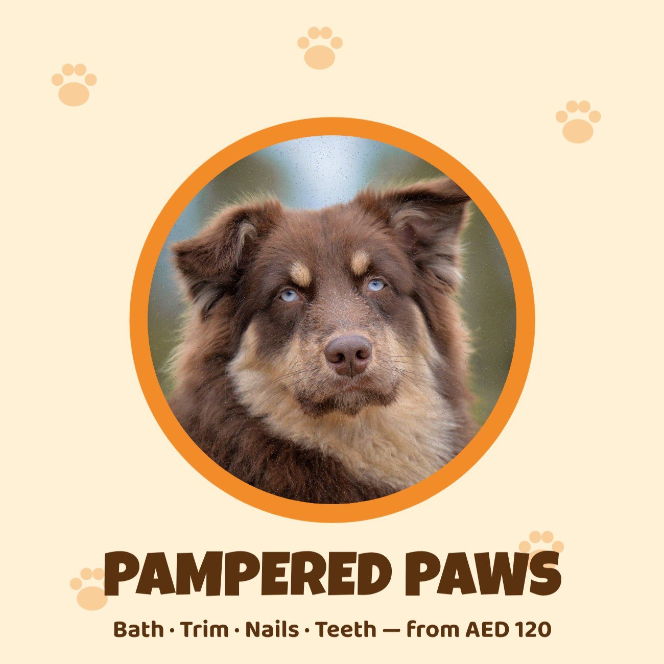 Pet Grooming Spa Post — editable marketing template
