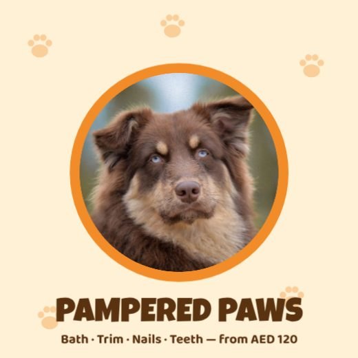 Pet Grooming Spa Post template