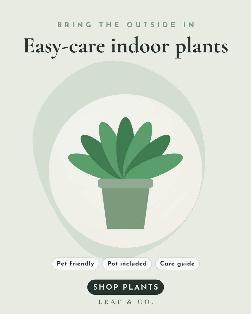 Plant Shop Podium Ad — editable marketing template