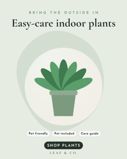 Plant Shop Podium Ad template