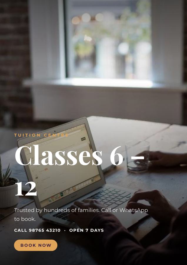 Plum Classes 6 – 12 Tuition centre Flyer Offer — editable business template