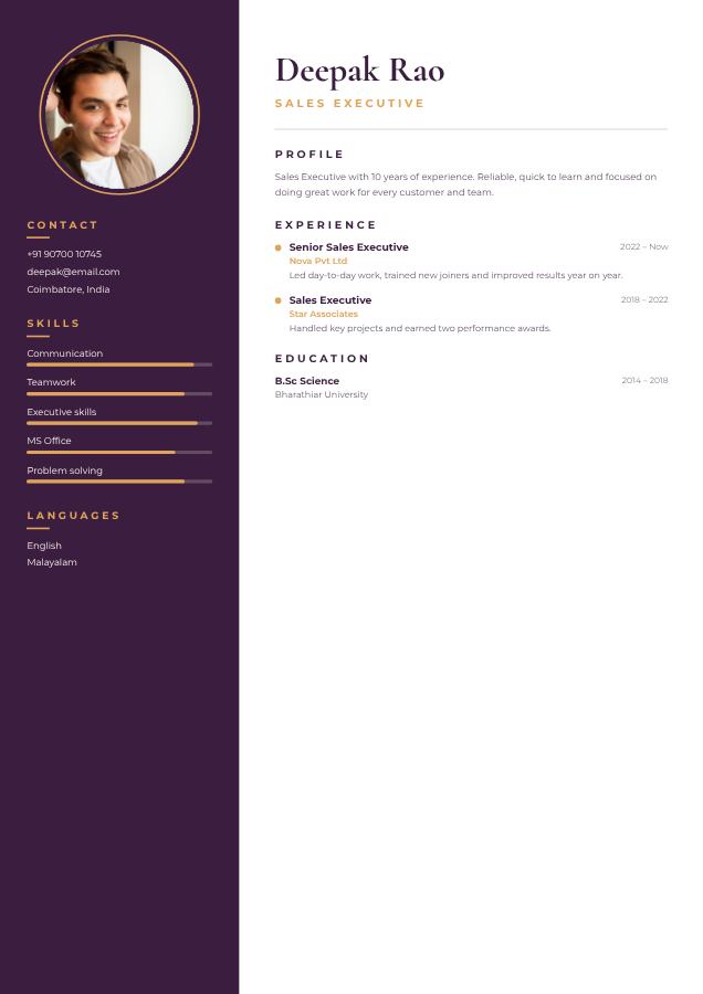 Plum Deepak Rao Sales Executive Resume — editable resume template