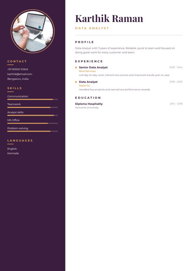 Plum Karthik Raman Data Analyst Resume — editable resume template