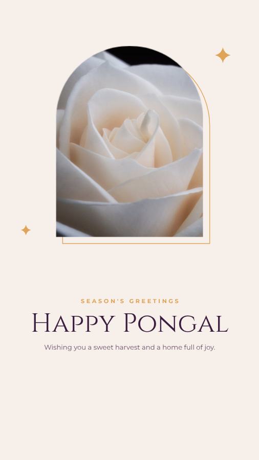 Plum Pongal Wishes Story — editable festivals template