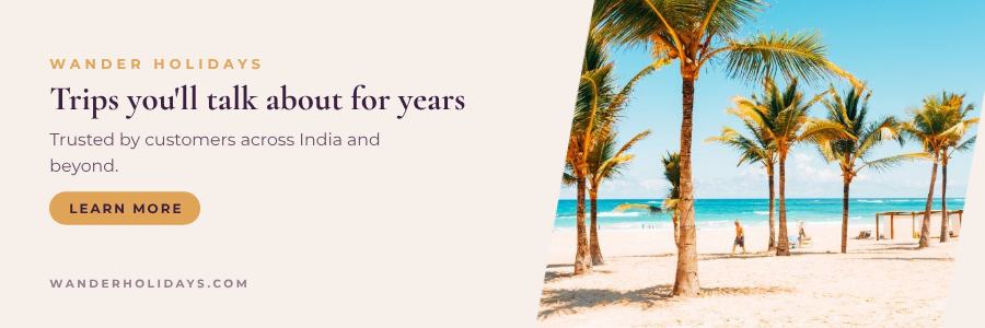 Plum Wander Holidays Website Banner — editable marketing template