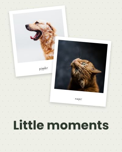 Sage Little moments 2 Polaroid Album Page template