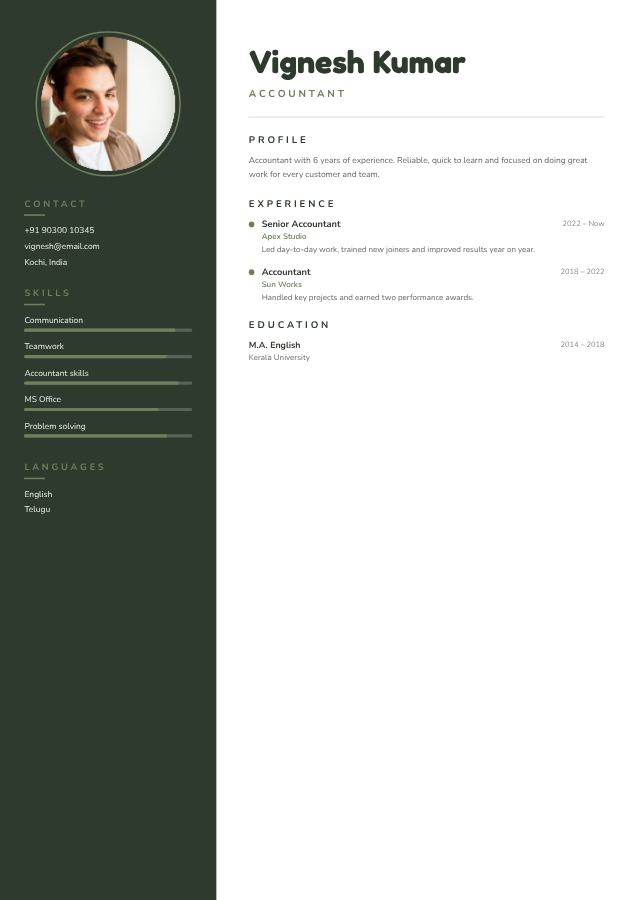 Sage Vignesh Kumar Accountant Resume — editable resume template