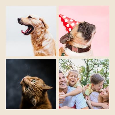 Sand Baby's first year 4 Photo Collage template