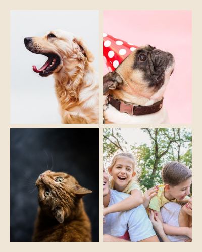 Sand Family moments 4 Photo Collage template