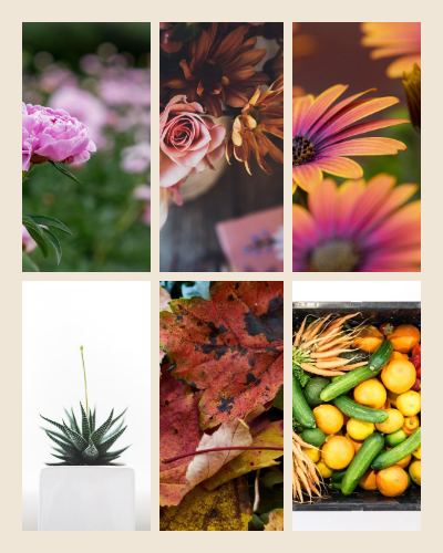 Sand Garden diary 6 Photo Collage template