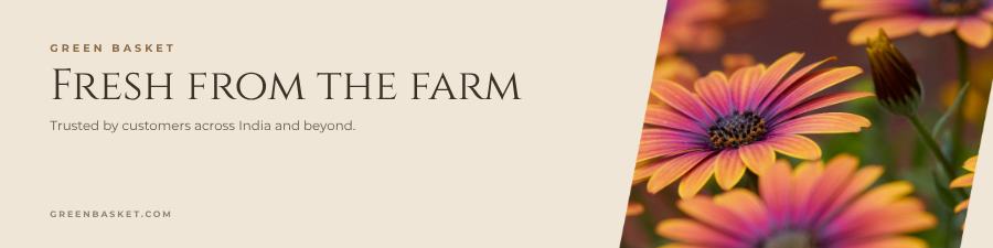 Sand Green Basket LinkedIn Banner — editable marketing template