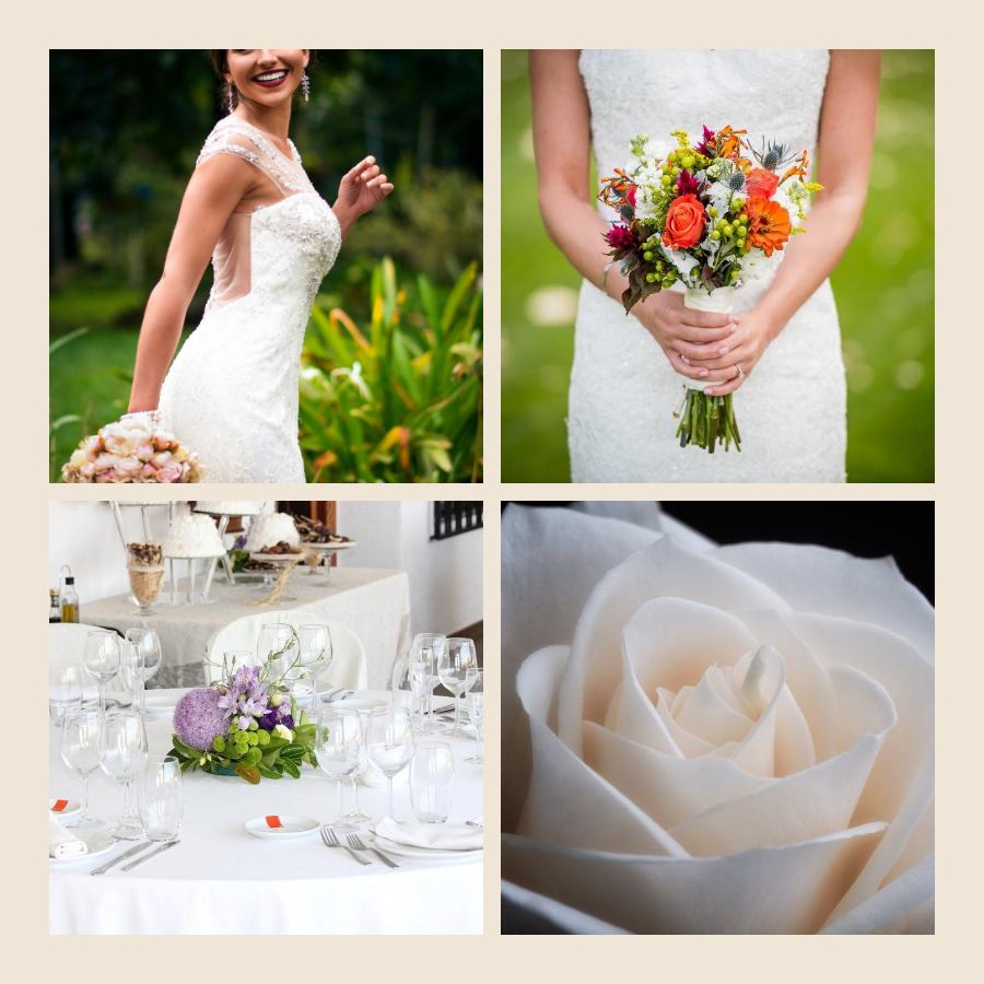 Sand Our wedding day 4 Photo Collage — editable photo collage template