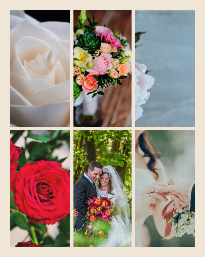 Sand Our wedding day 6 Photo Collage — editable photo collage template