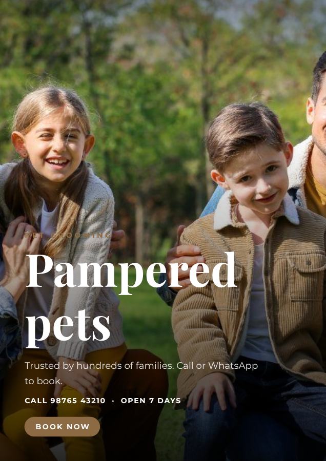 Sand Pampered pets Pet grooming Flyer Simple — editable business template