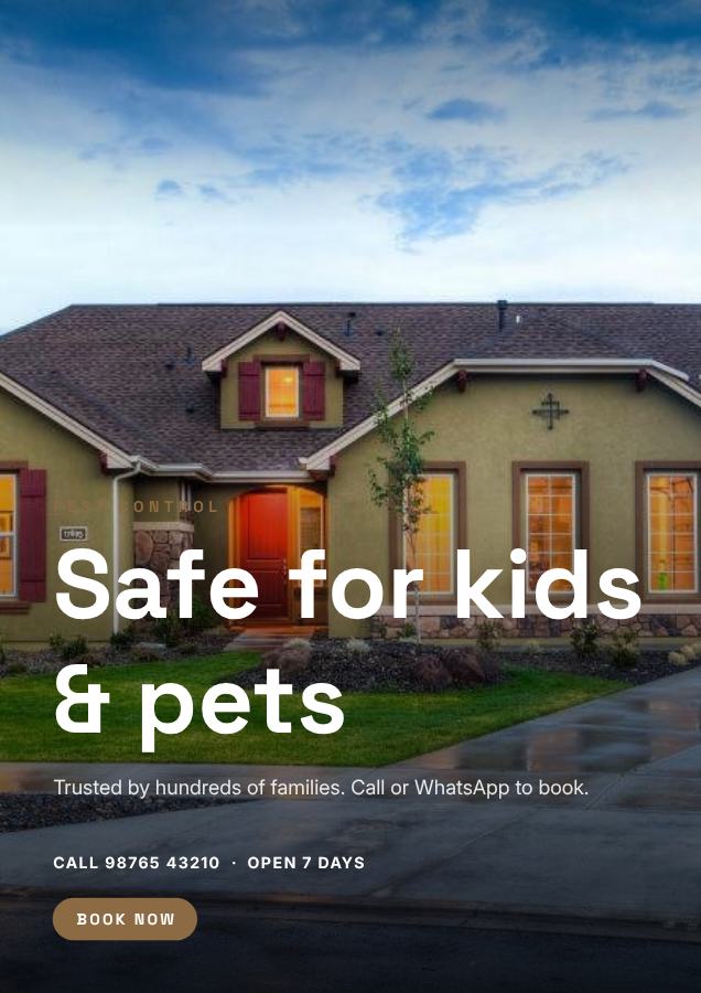 Sand Safe for kids & pets Pest control Flyer Info — editable business template