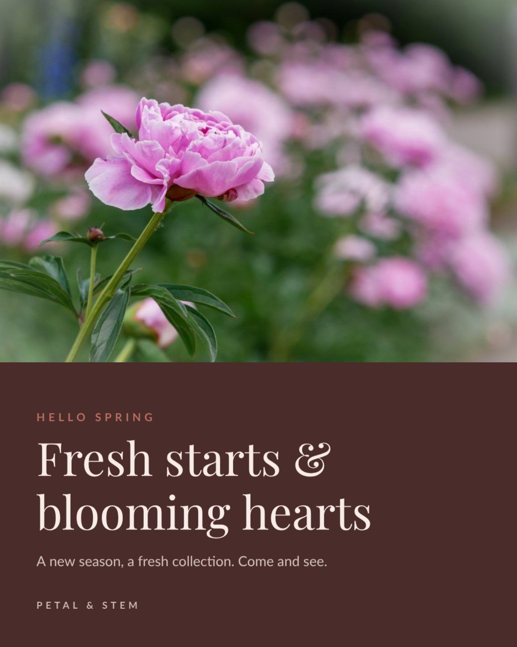 Spring Blossom Post — editable festivals template