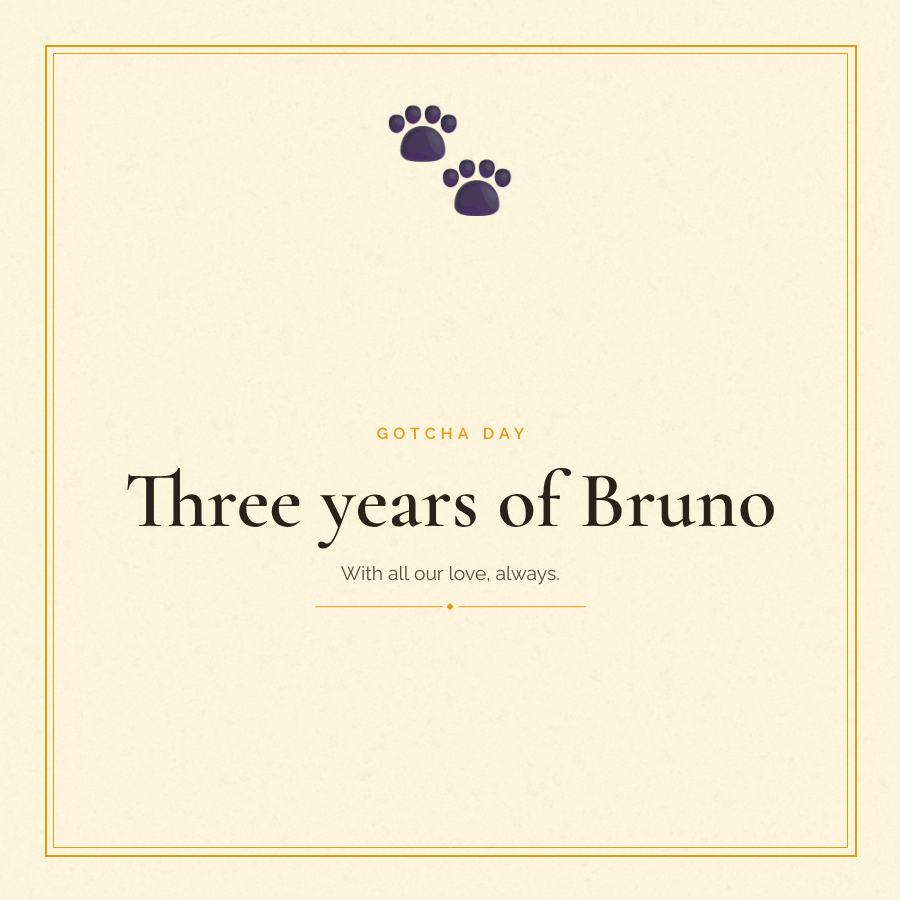 Sunny Gotcha day Three years of Bruno Square — editable love & family template