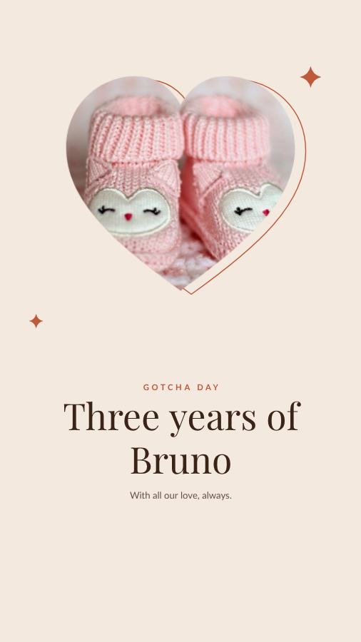 Terracotta Gotcha day Three years of Bruno Story — editable love & family template