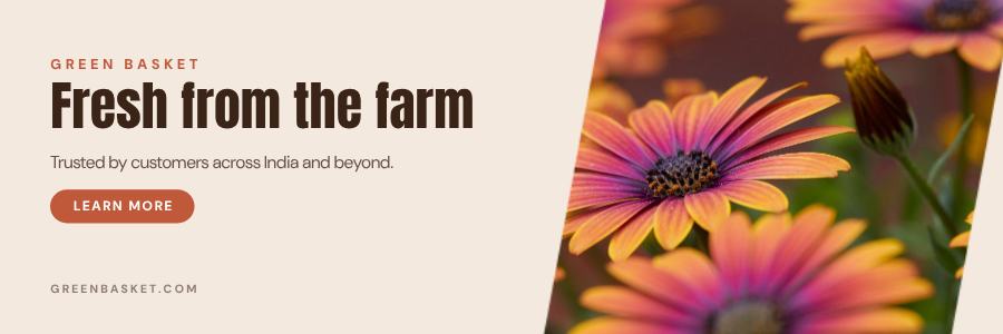 Terracotta Green Basket Billboard — editable marketing template