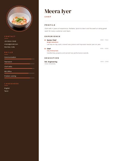 Terracotta Meera Iyer Chef Resume — free resume site template