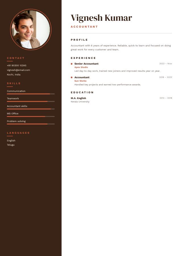 Terracotta Vignesh Kumar Accountant Resume — editable resume template