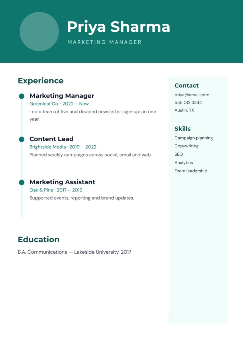 Timeline Resume — editable resume template